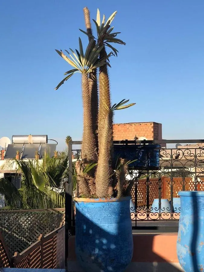 Casa de Férias Riad Rose Eternelle Marraquexe Marrocos
